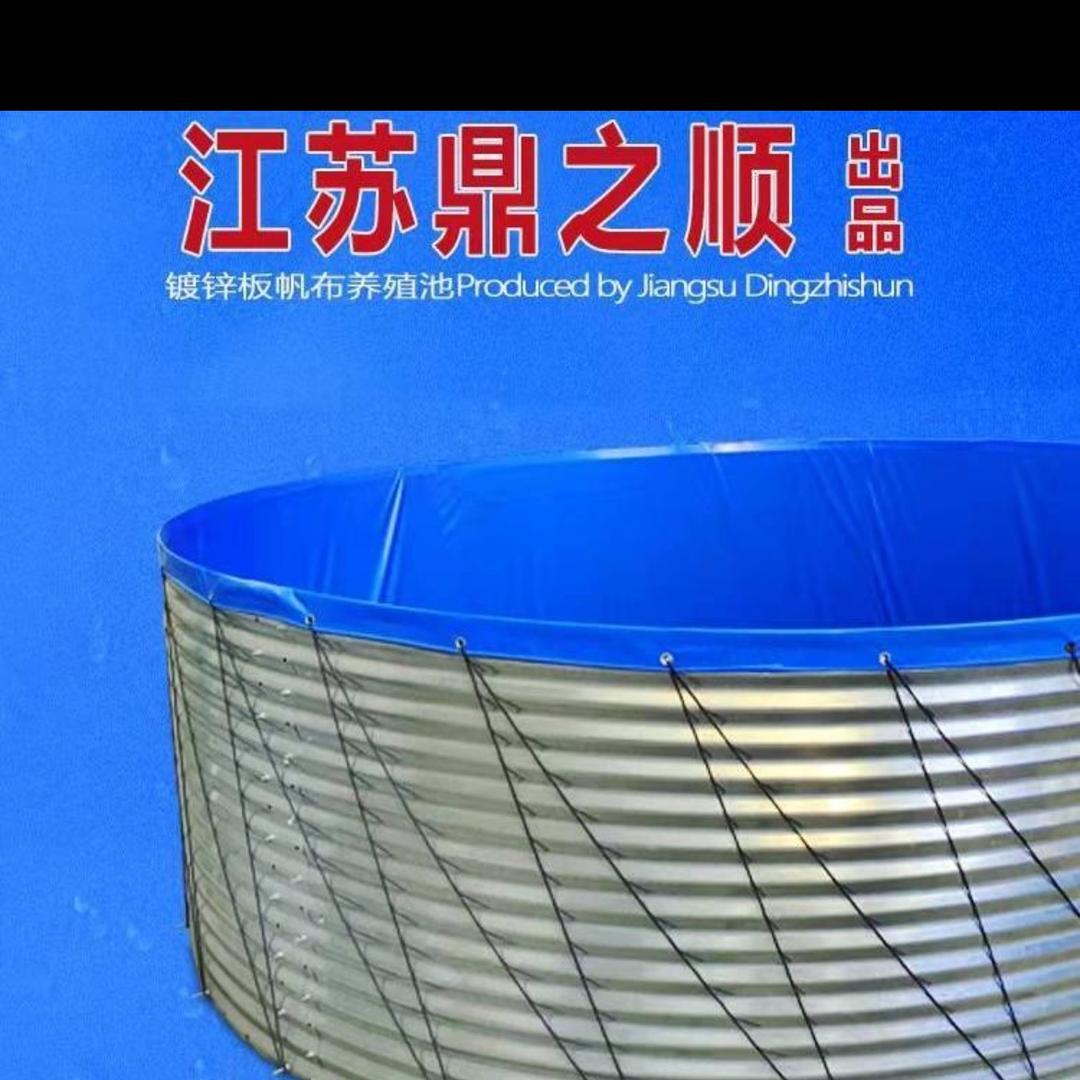 盛之泰专营店