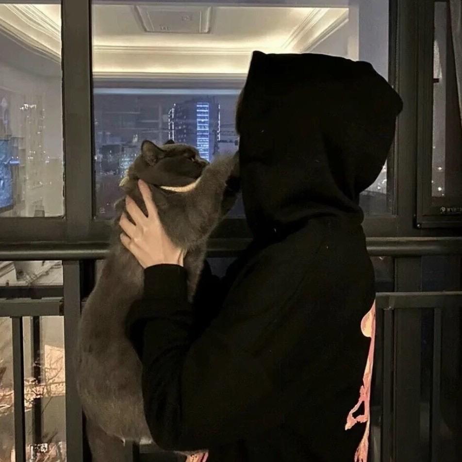 青菜ovo