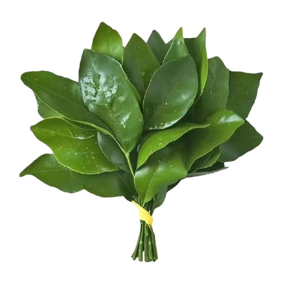 向日葵🌻