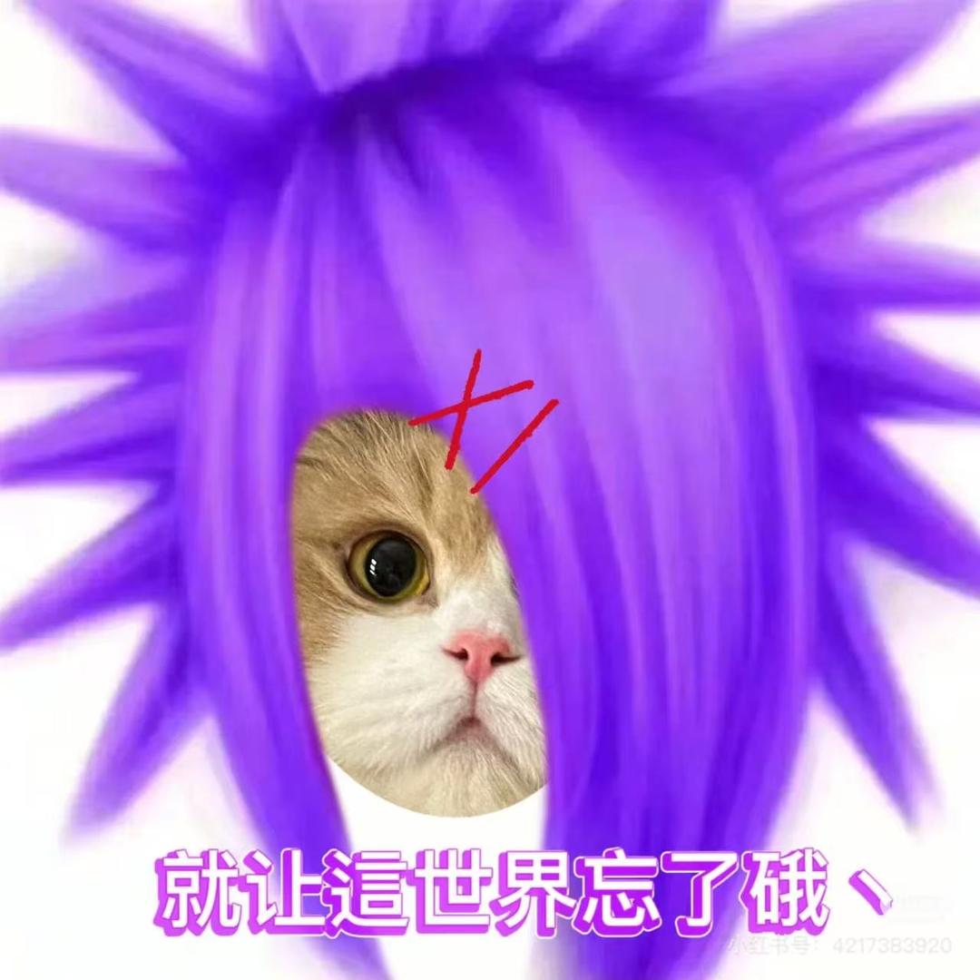 亿万少女的喵ꨄ