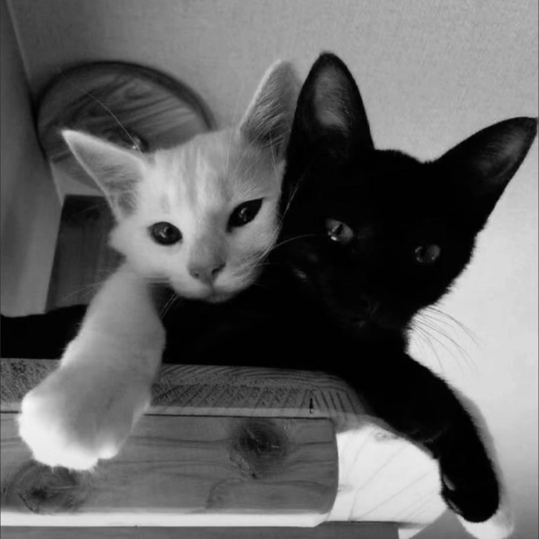 若有若无恶意的人要干啥。