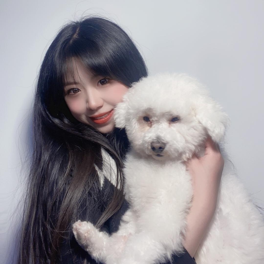 梧桐树的小泡芙🧁