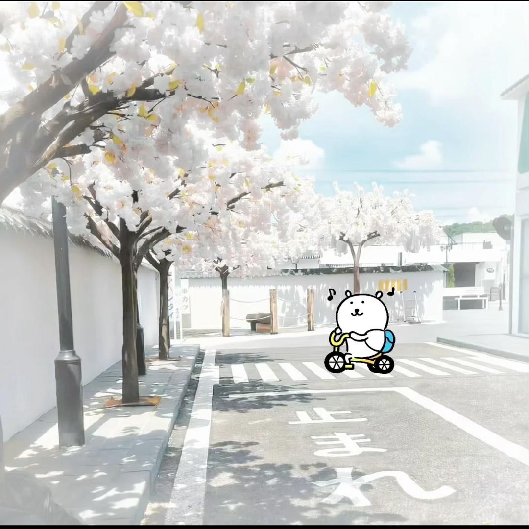 菲姐说教育