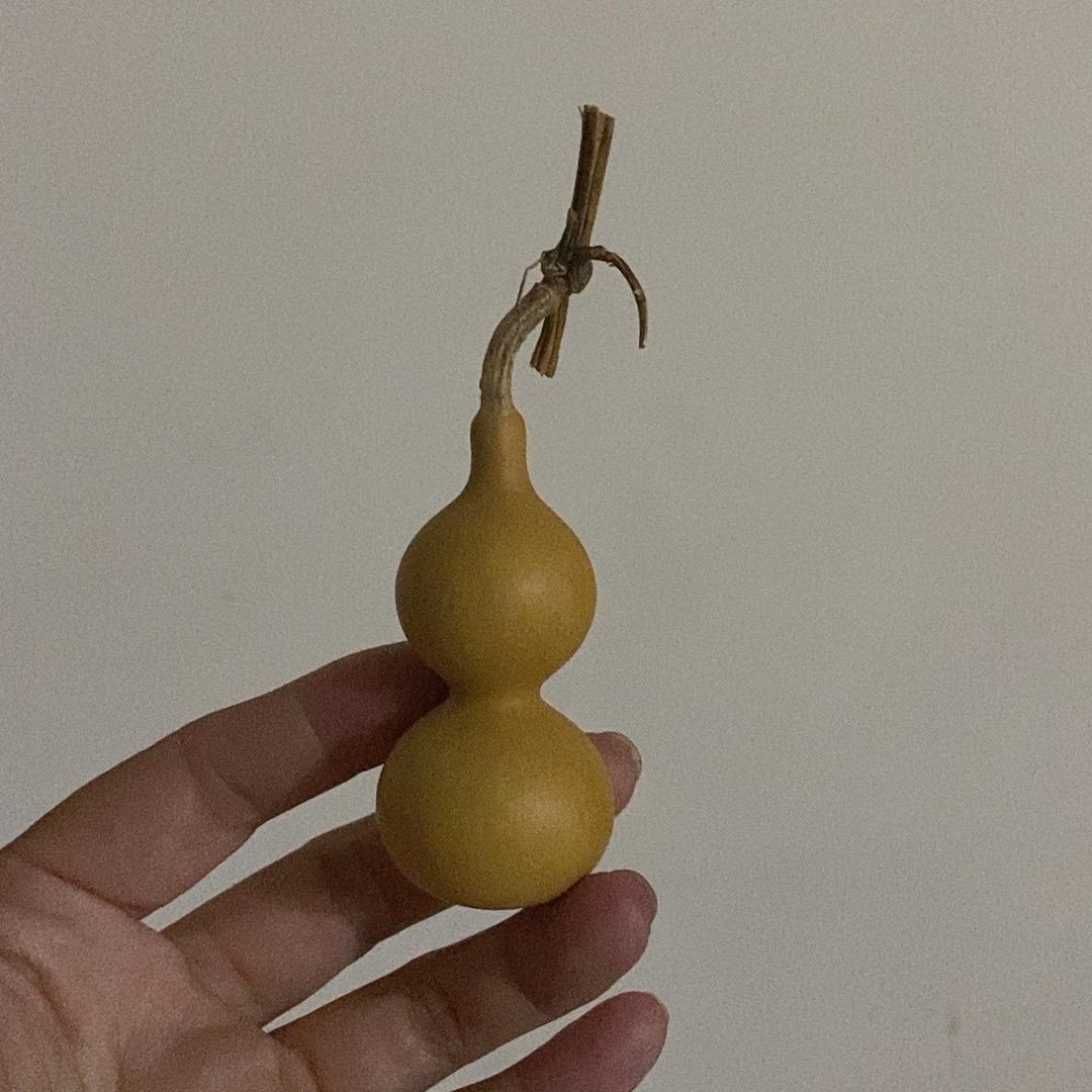聊东葫芦
