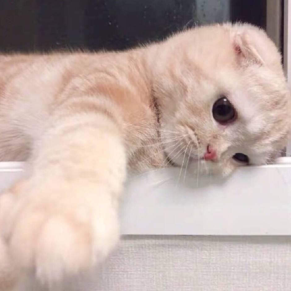 1026
