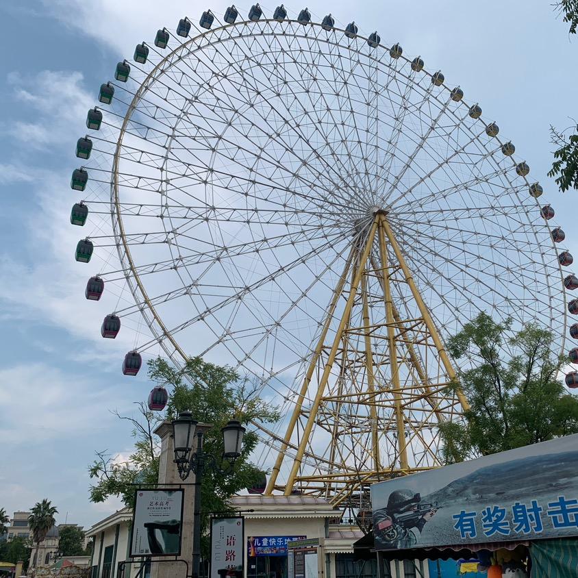 萝卜排骨汤
