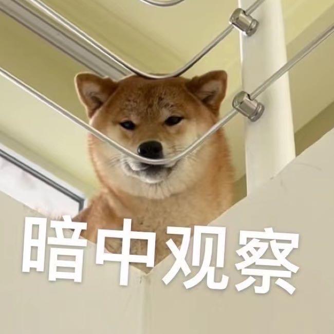 刘小姐的宝贝