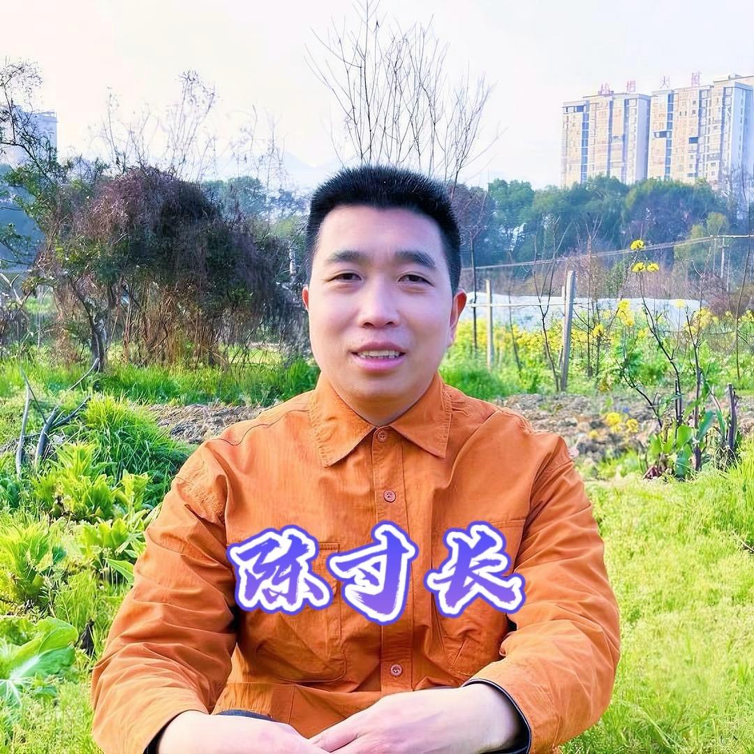 陈寸长