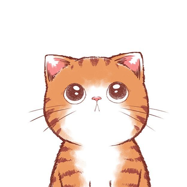 猫猫🐱