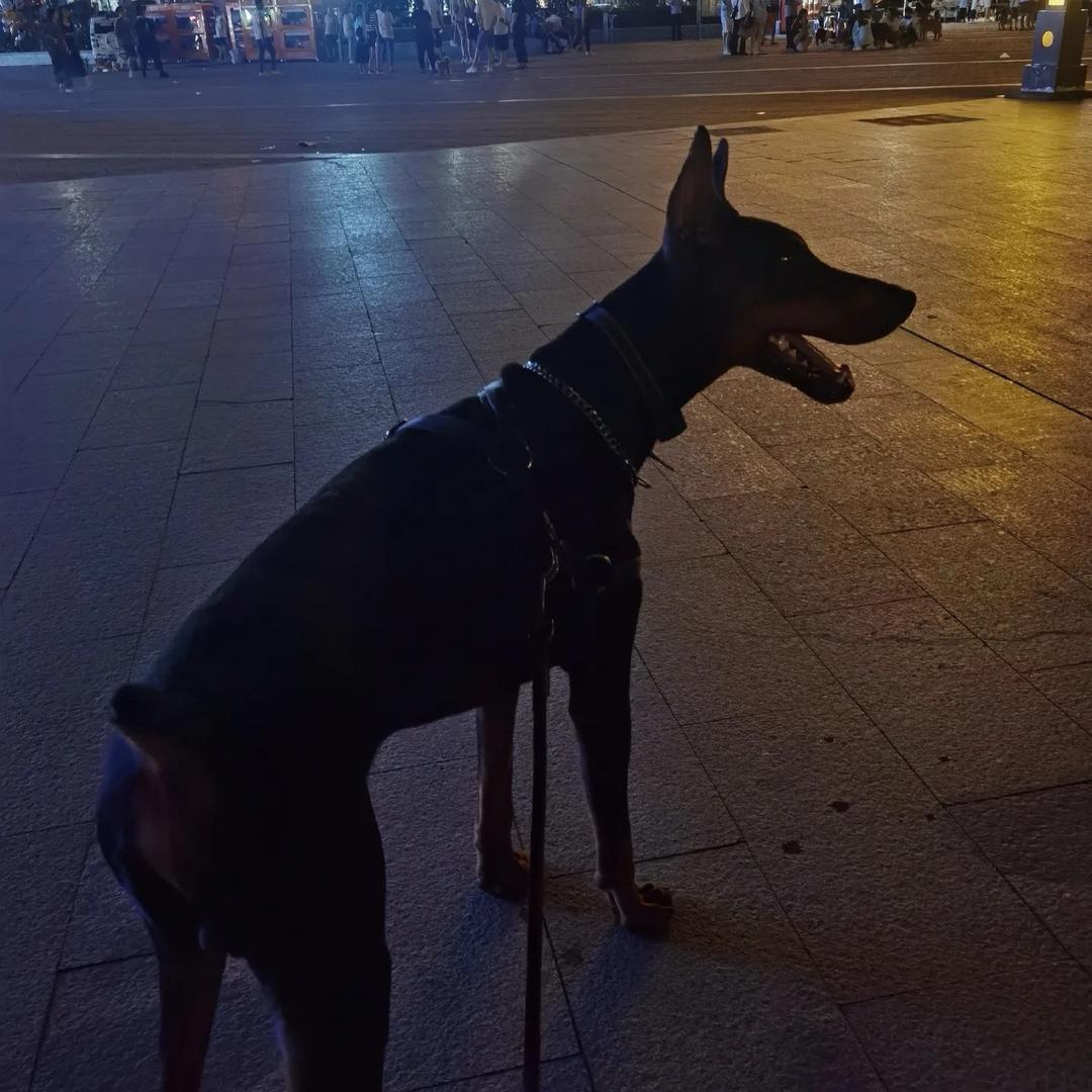 小宇🌧️