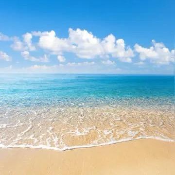 丹姐来了（新疆食品总仓）