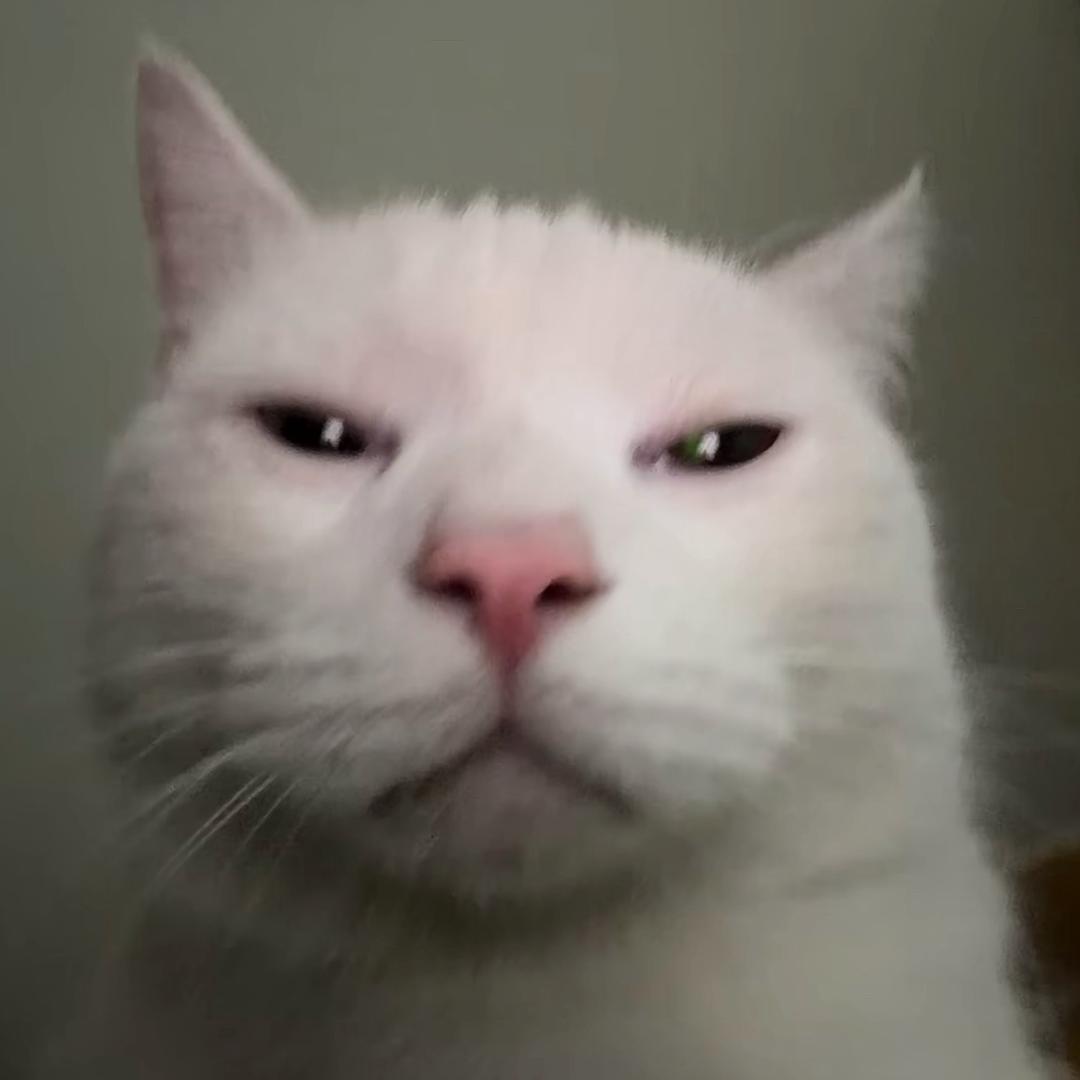 寒轩翎.