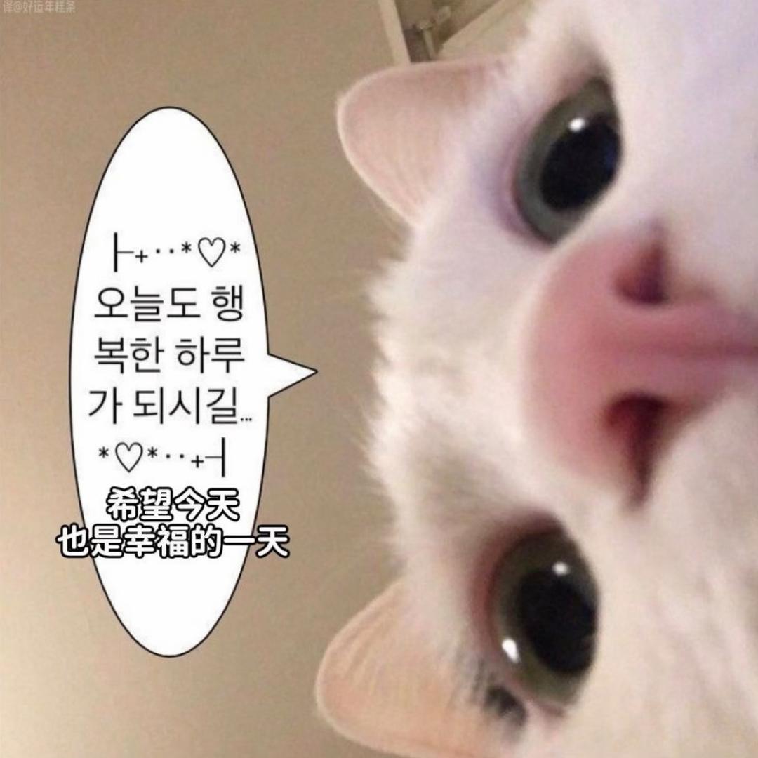 沙漠孤鹰哈