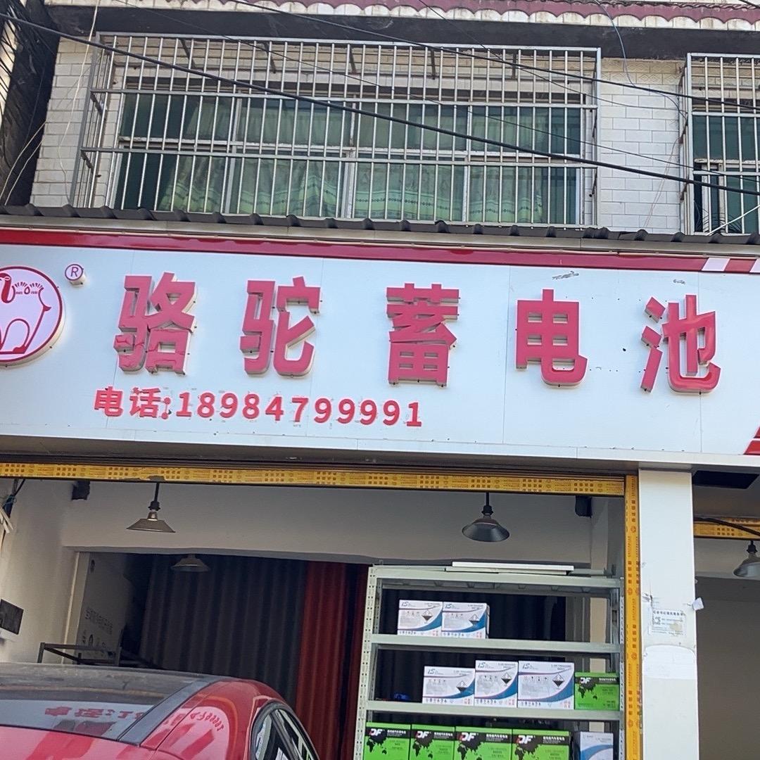 毕节骆驼电池批发零售