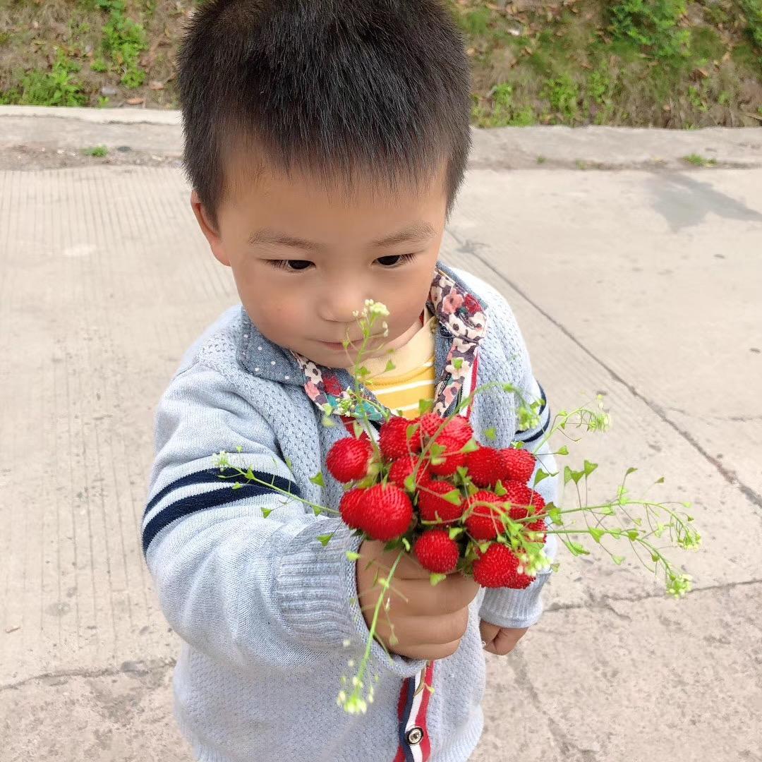欢乐豆