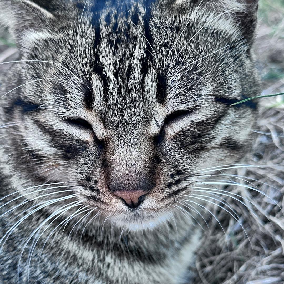 噗呲噗呲噗呲噗呲噗呲