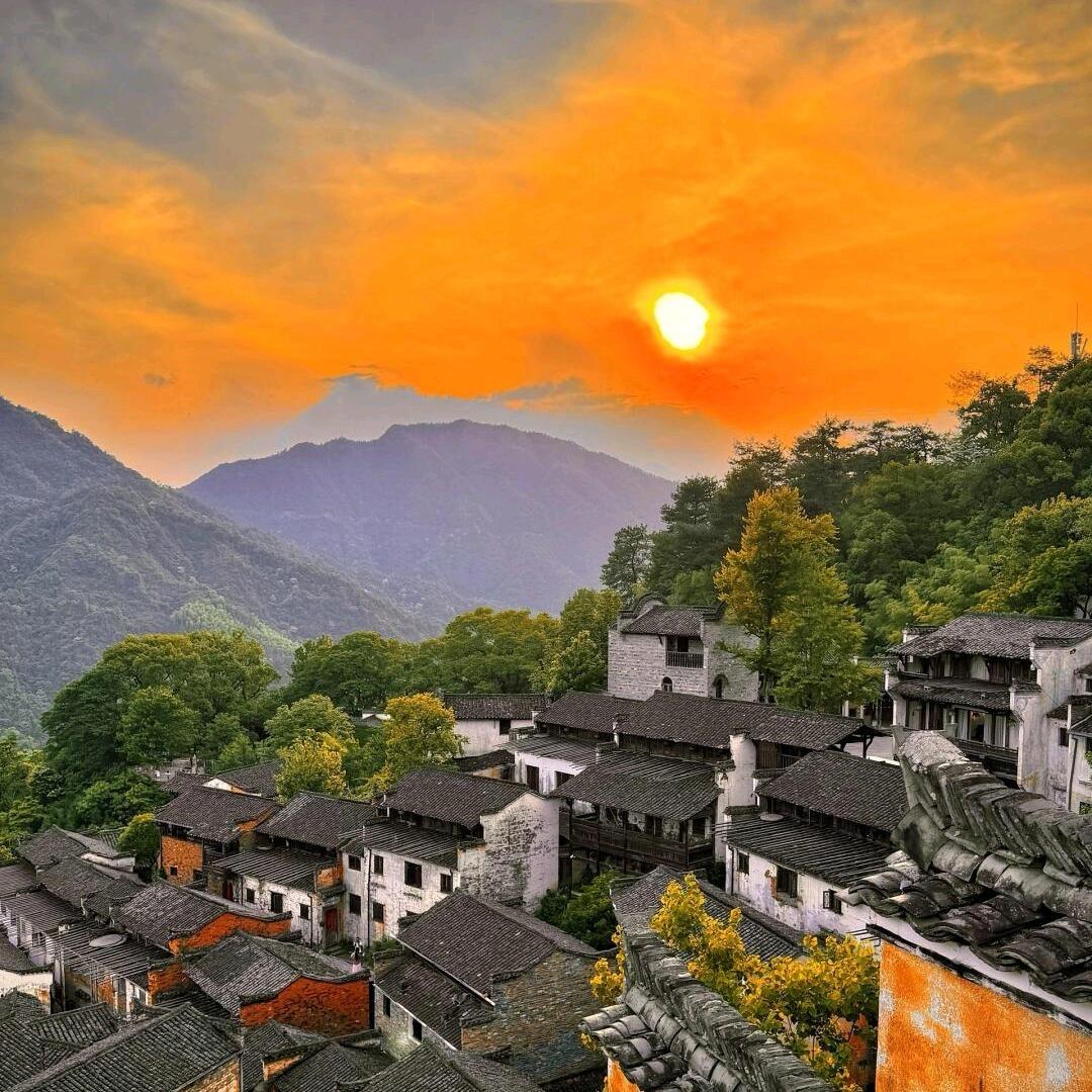 橘子旅行