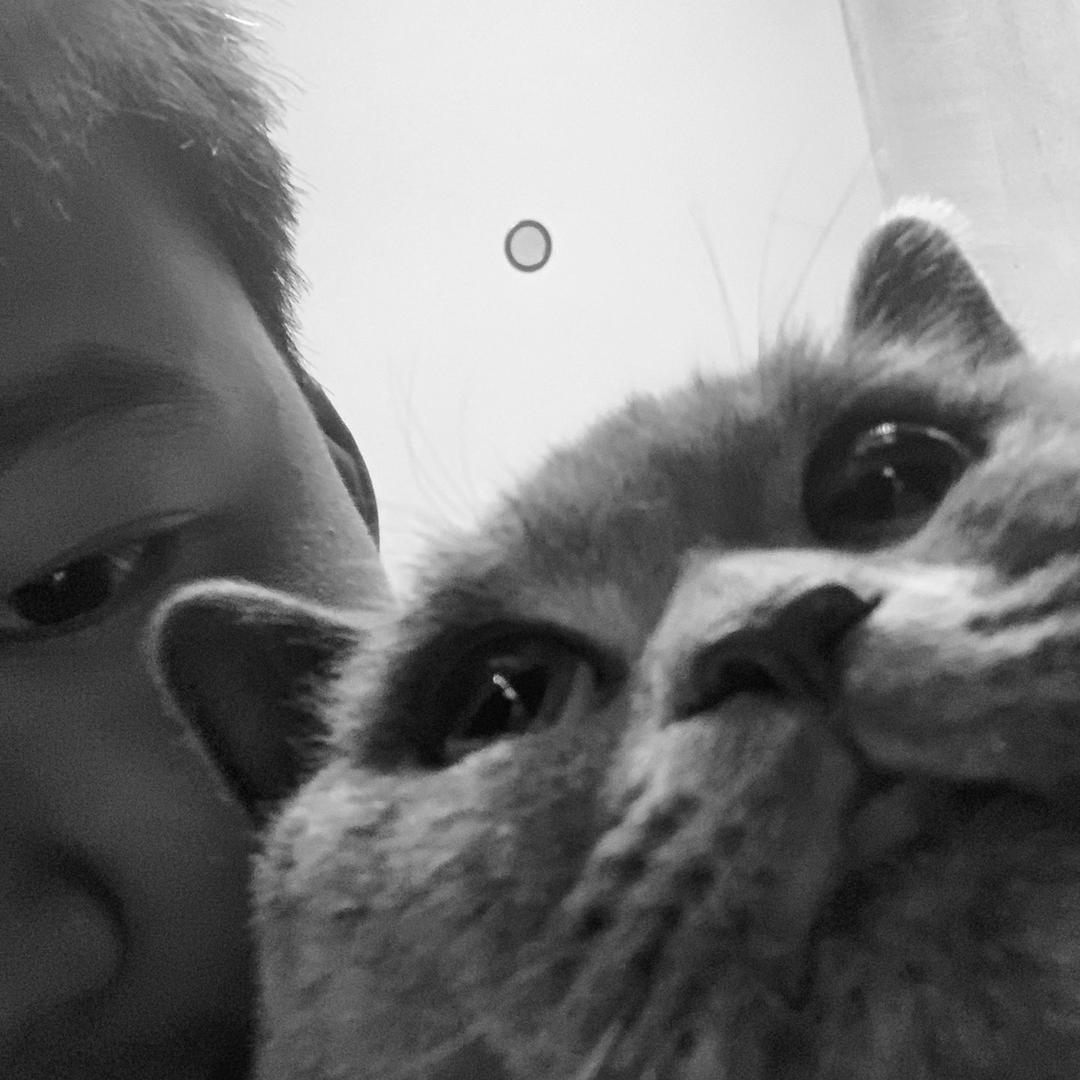 luan             🕷️