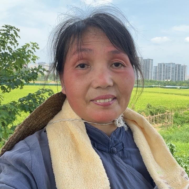 农村叶子