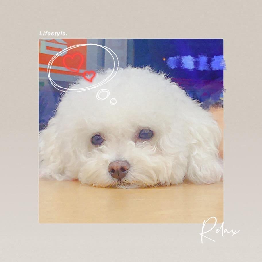 @请叫我小黑胖子🙇🏽‍♀️