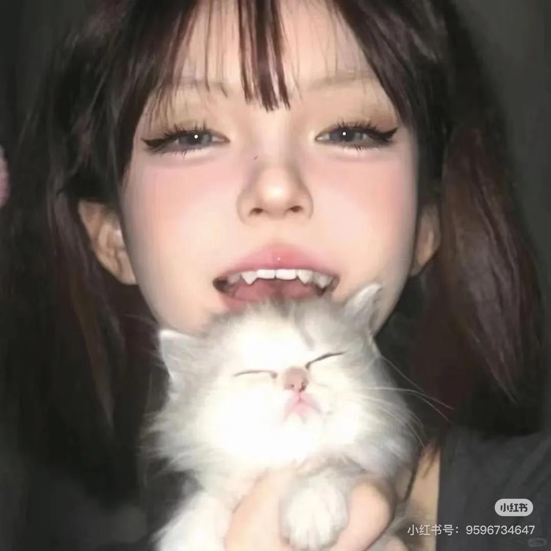 小猫碎碎念⌯'Ⱉ'⌯