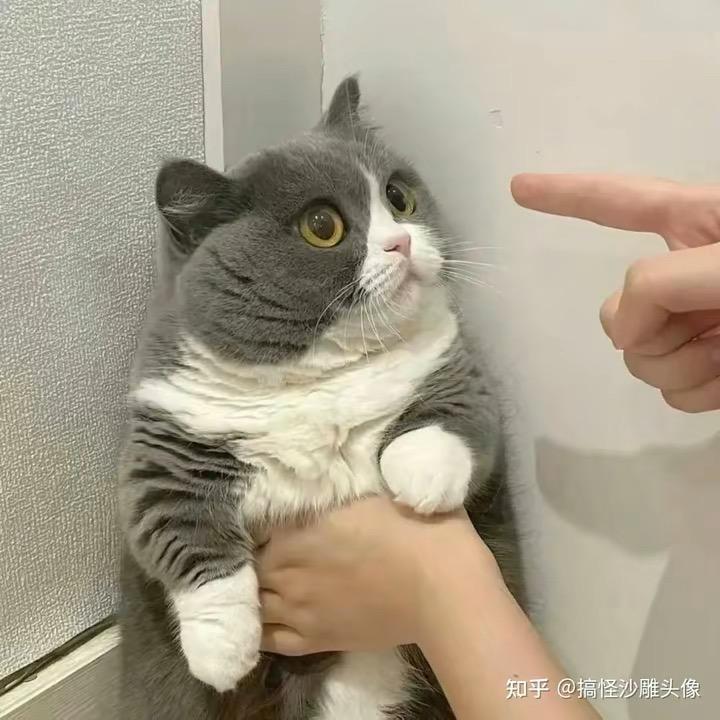 阿杨