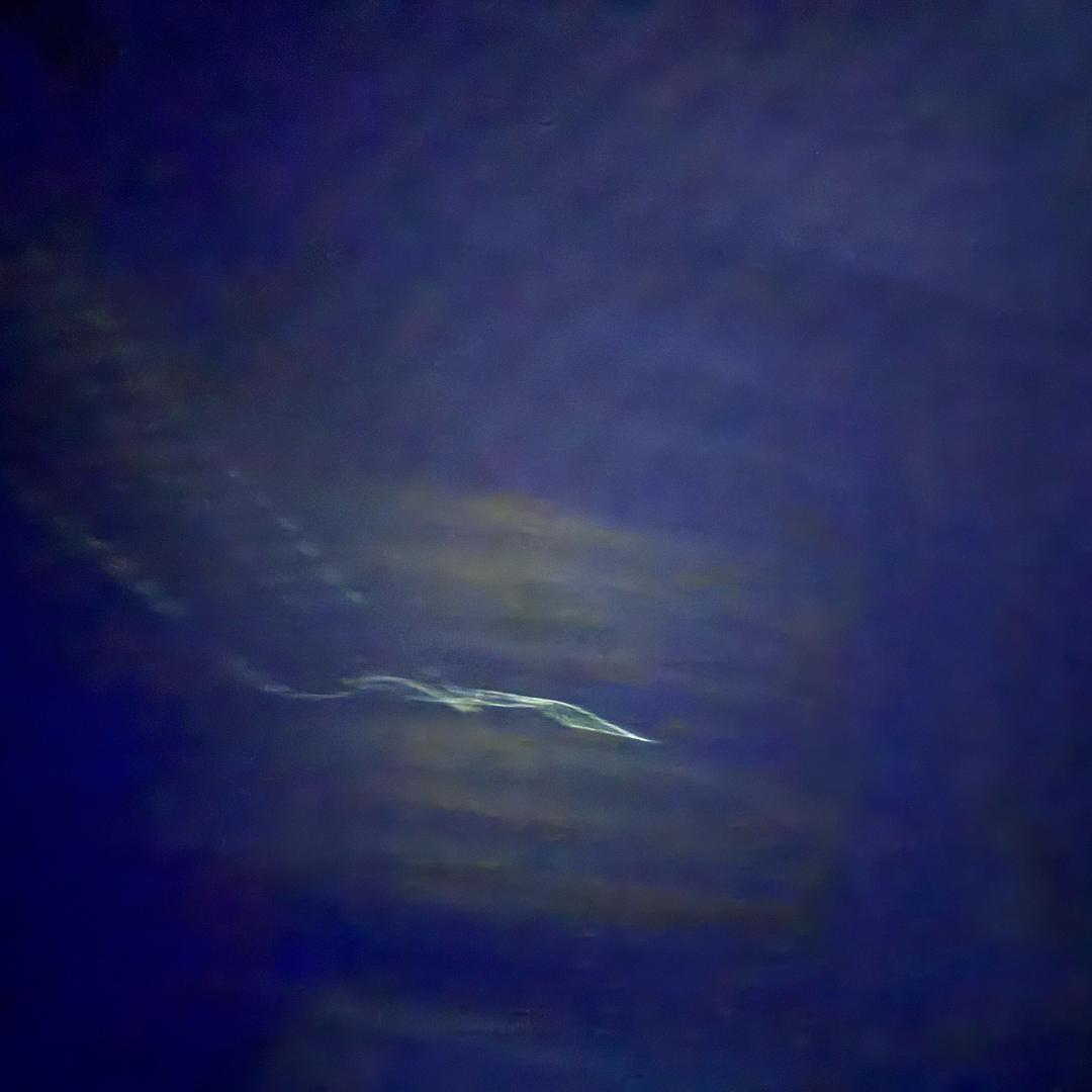 注销不用了