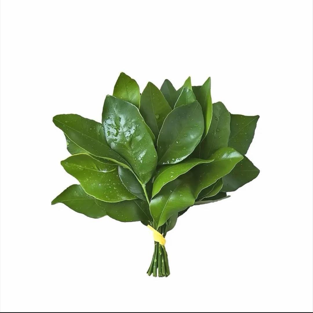Aaaa.悦