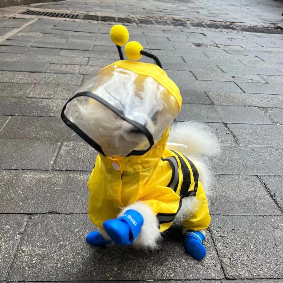鼠鼠我啊