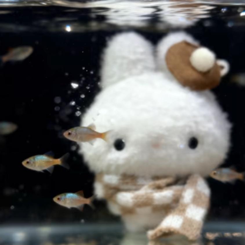 带病上学不小心看见朋友下蛋