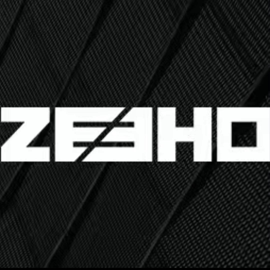ZEEHO极核电动