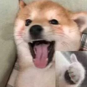 步步ʸ