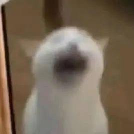 重生之美女卖串