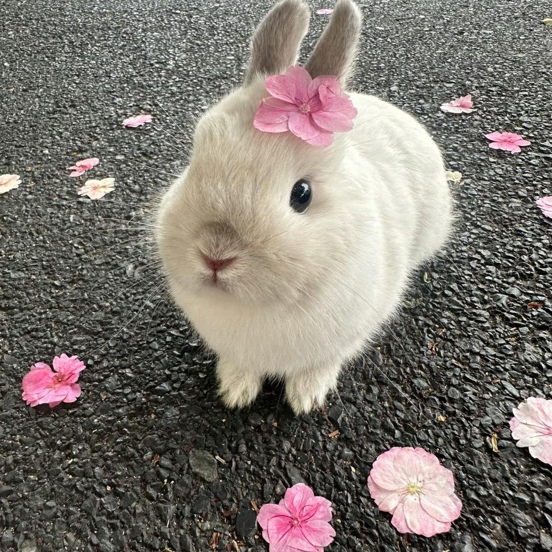 虞涵