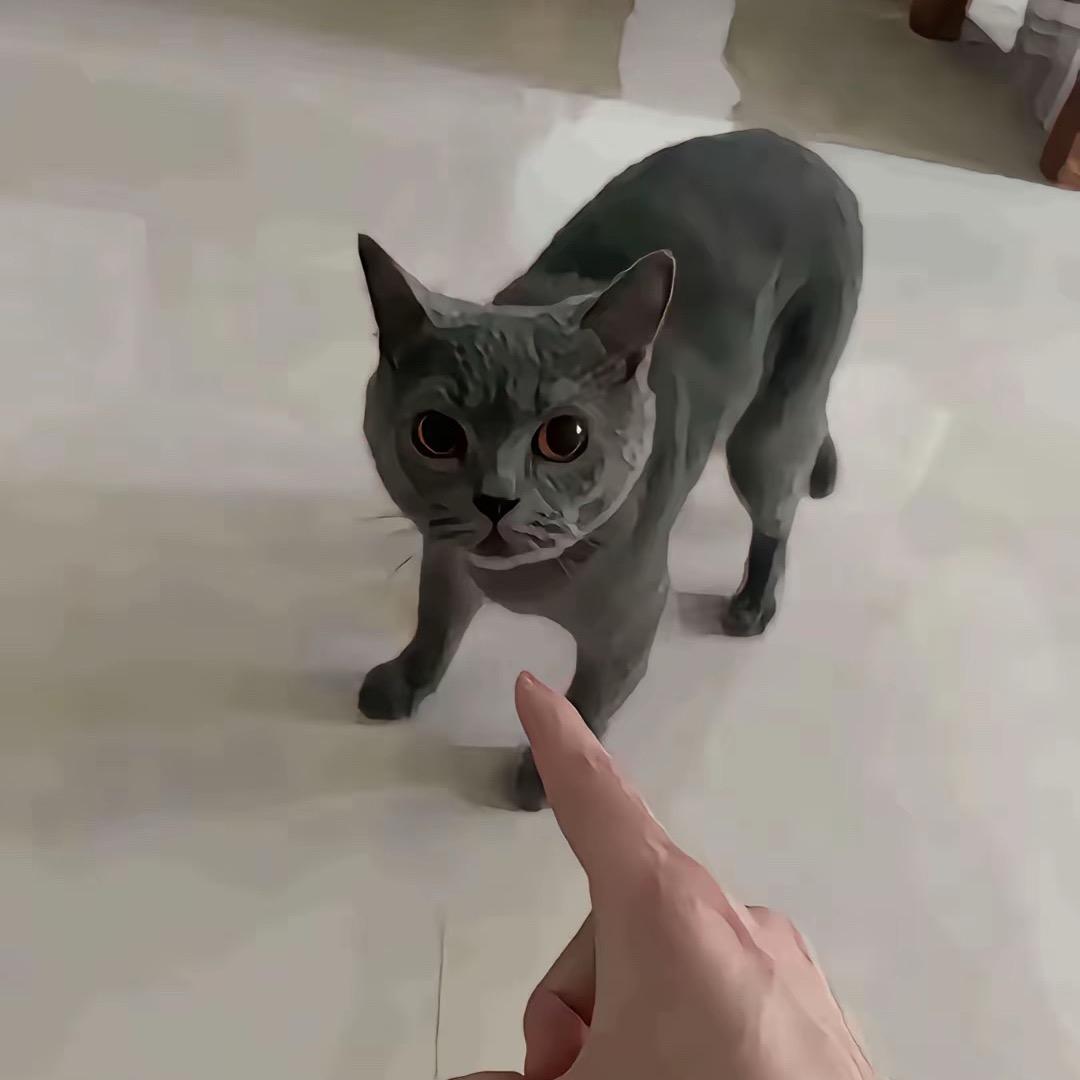 不发脾气只发财🧚🏻