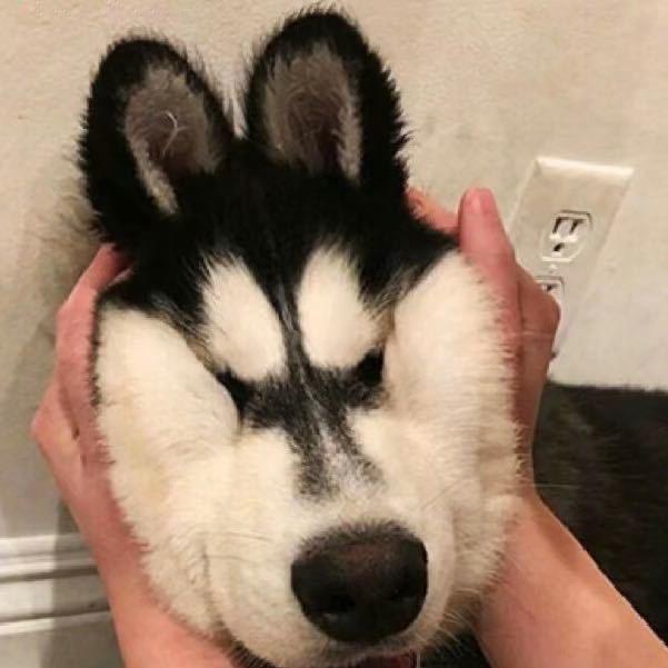 乌兰察布手机通讯