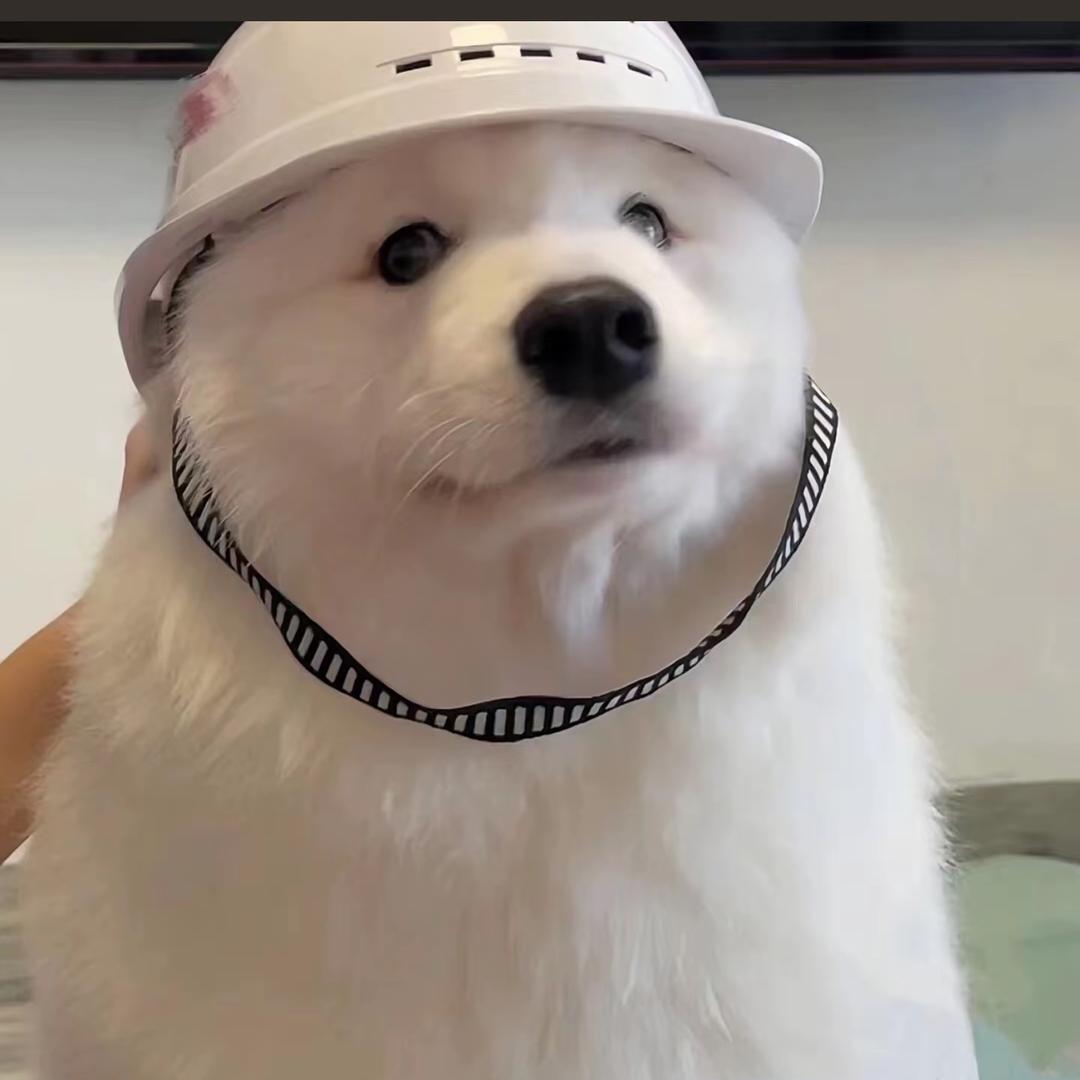 不吃酸菜