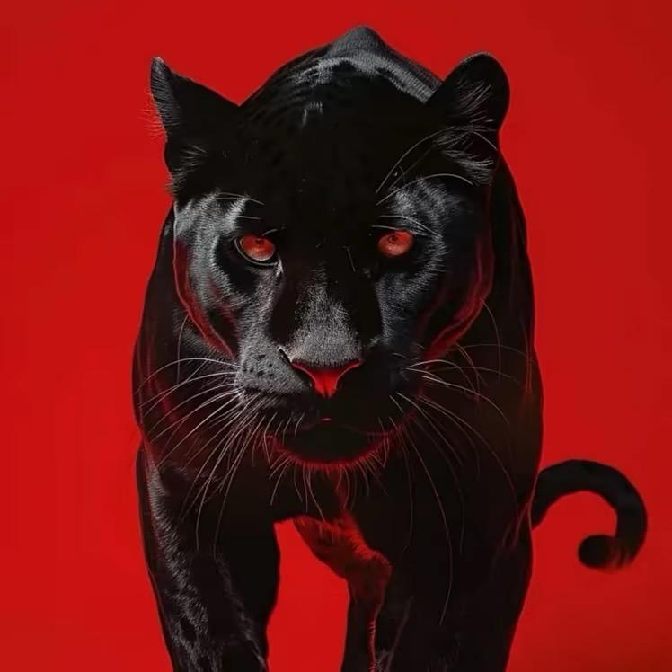 介休黑豹🎙️🎙️（南庄森肴驻唱）