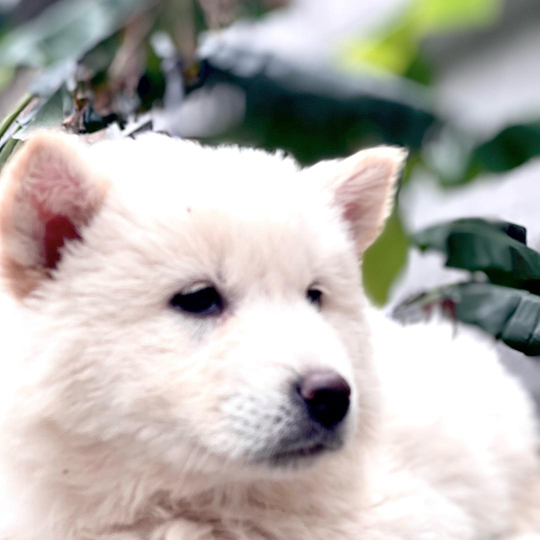 广西玉林平叔儿子小林