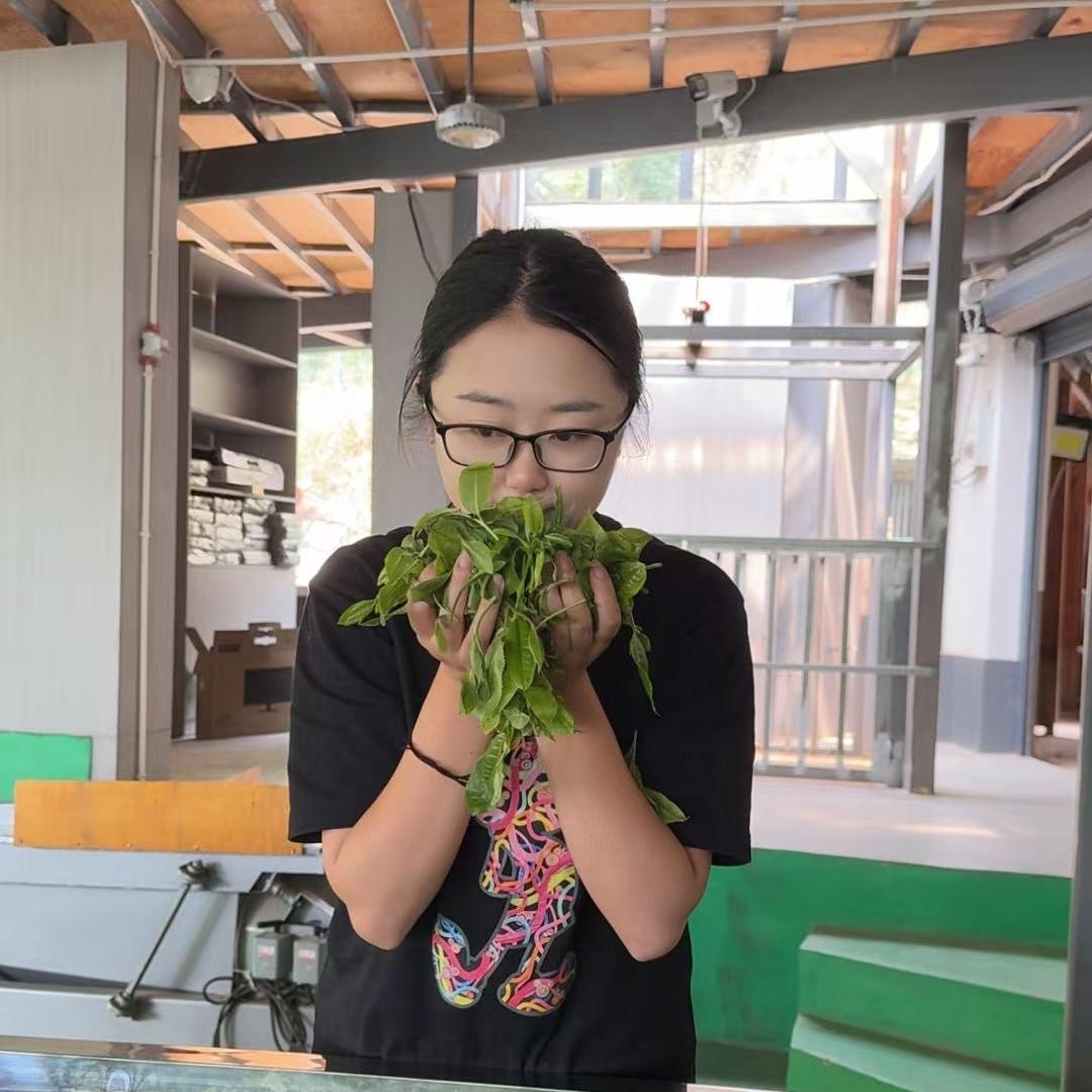 小鲁班—凤蒲茶仓