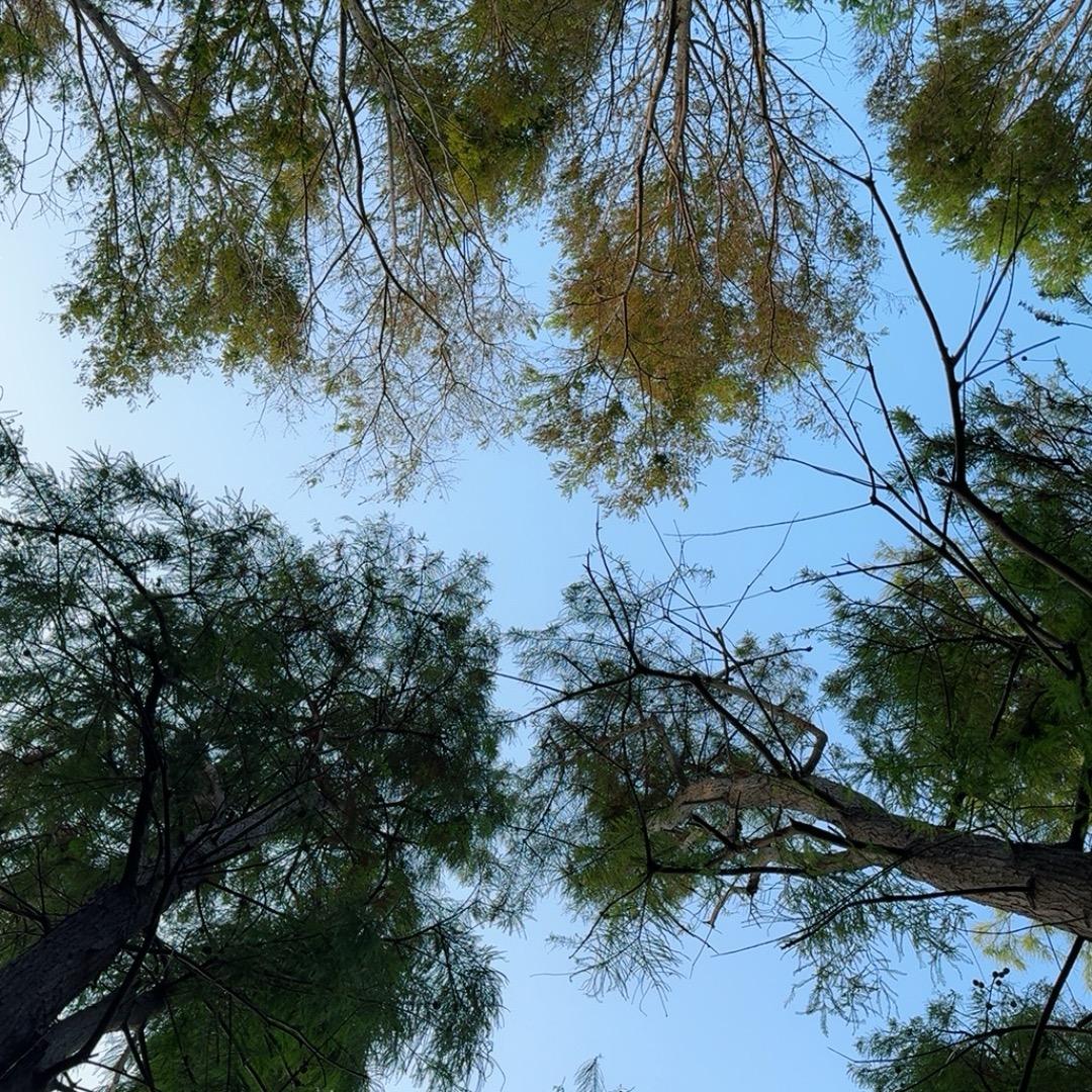 笔歌墨舞写春秋