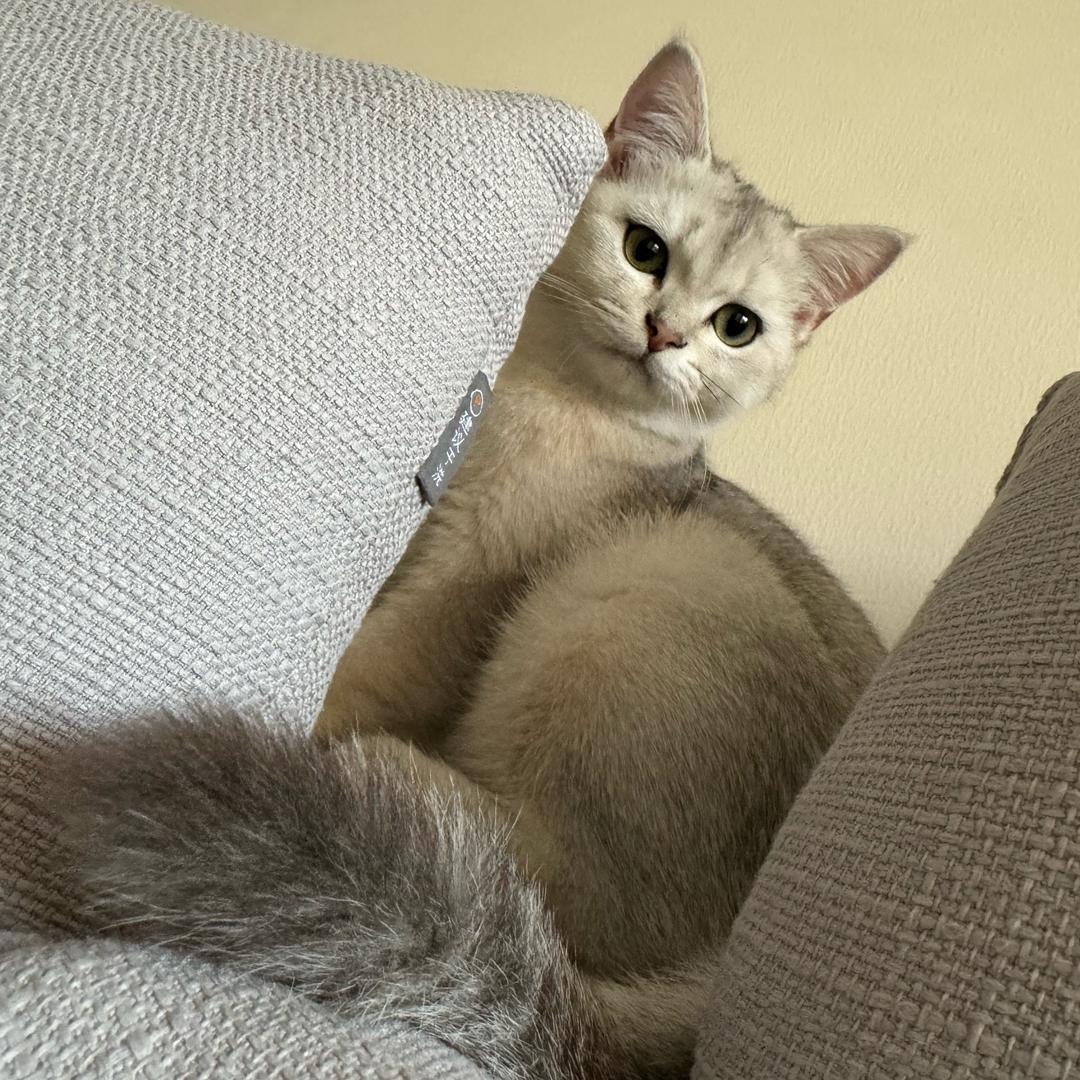 浏阳河第一女钓手（自封版）