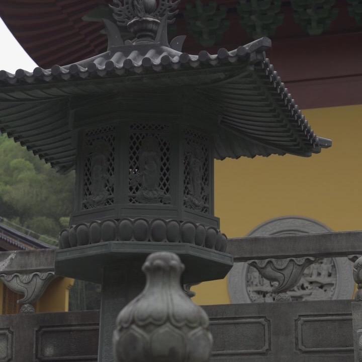 浊清师兄