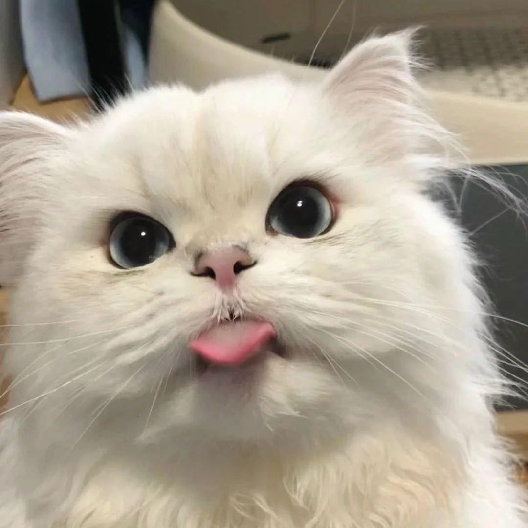拾柒ン
