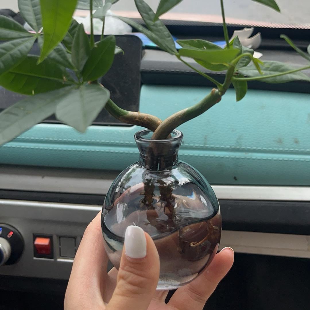 木马