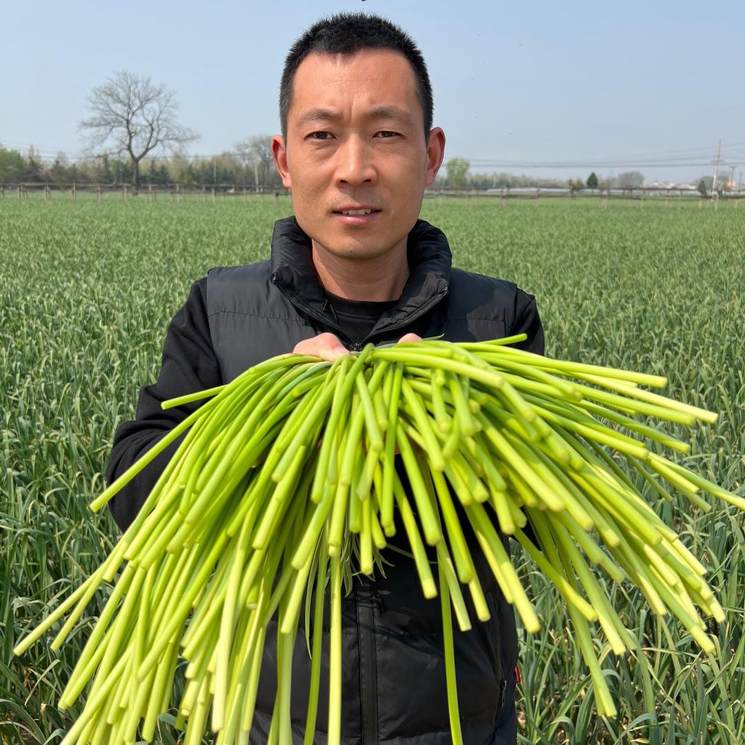塞外果蔬优选