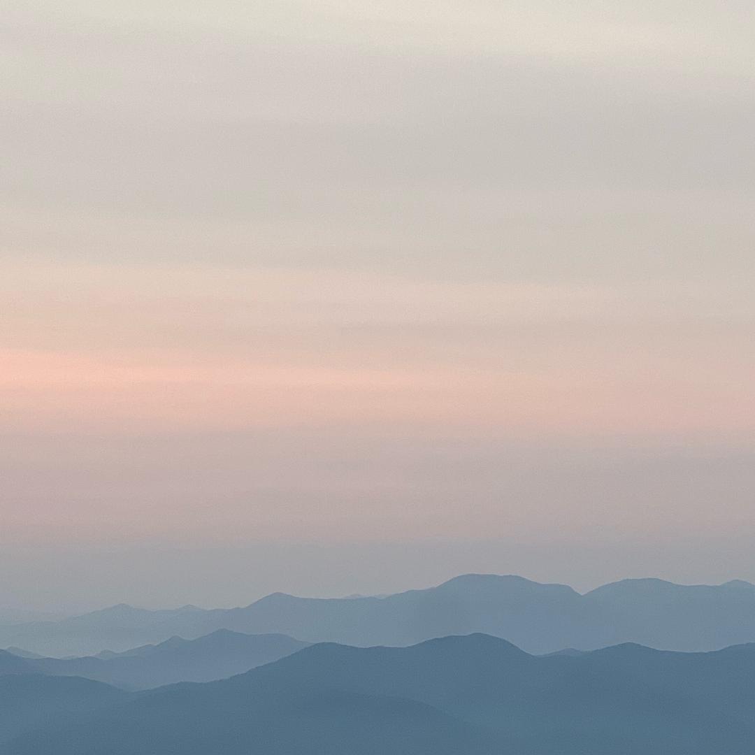 用户238554687297599