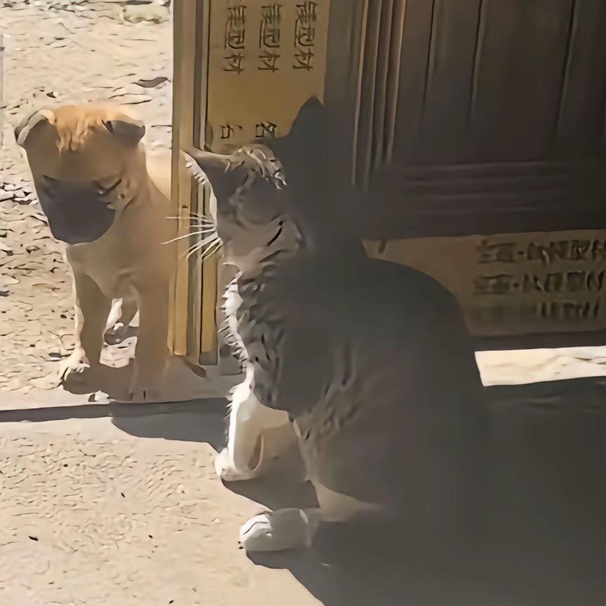 🧰🪛🔧🔨⚒️🛠️⛏️🪏🤫