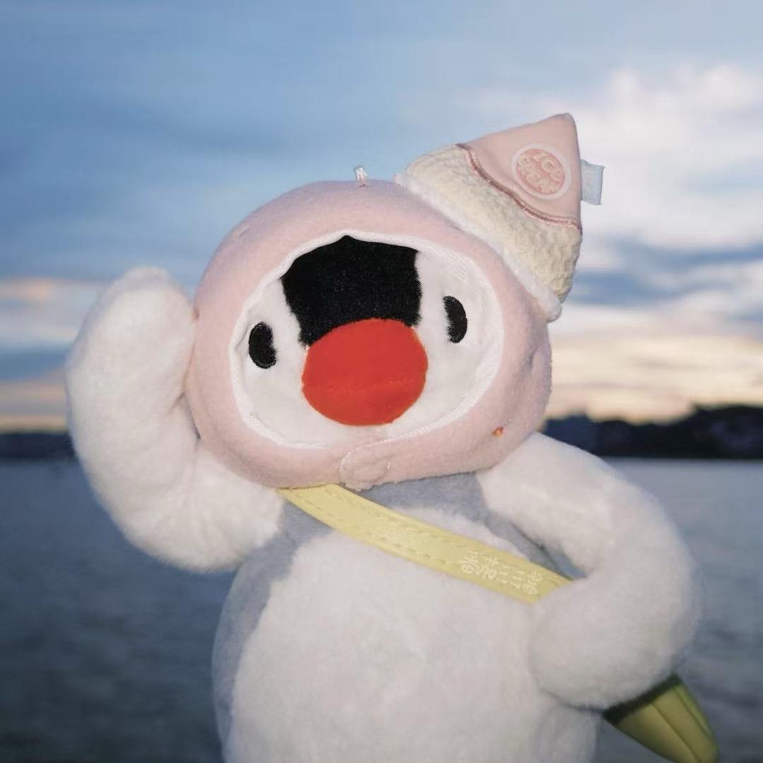 小y