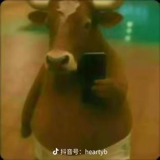 网恋秀牛被截屏